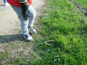 Ukliďme Česko - ukliďme cestu do lesa